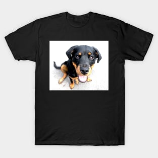 Bella Bella T-Shirt